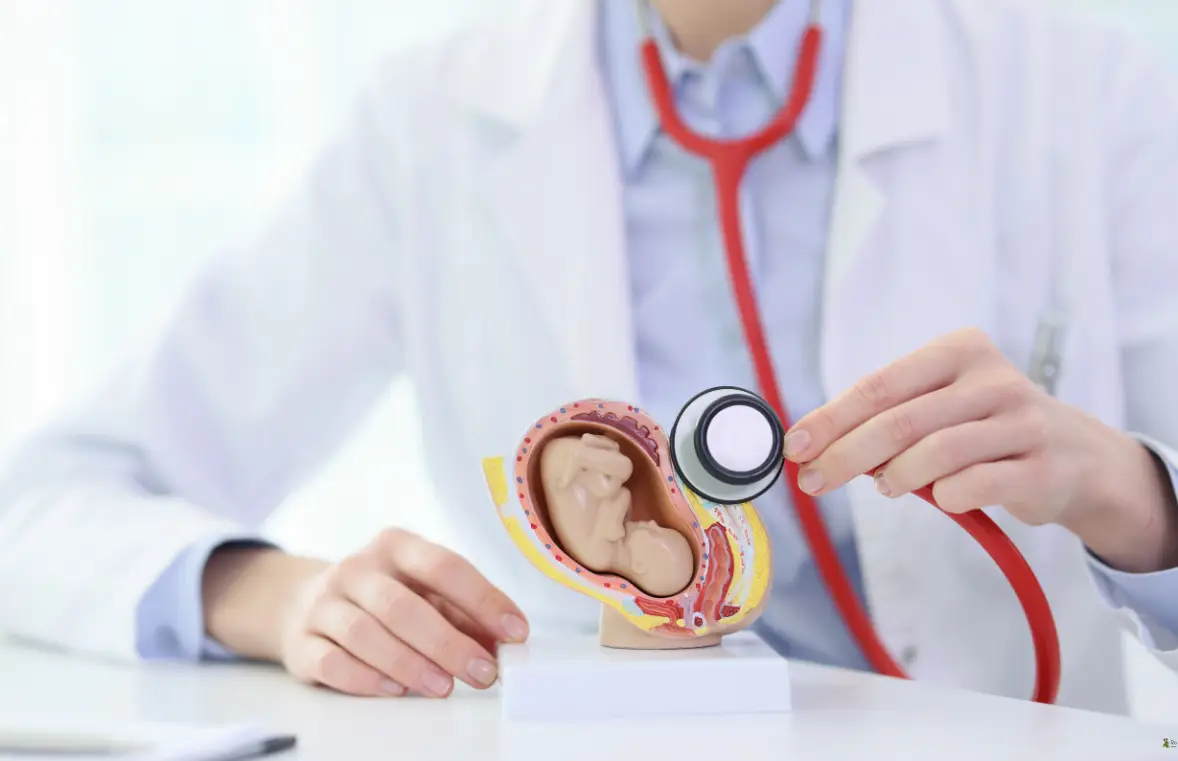 Fetal Medicine in Madurai, Dindigul, Thanjavur
